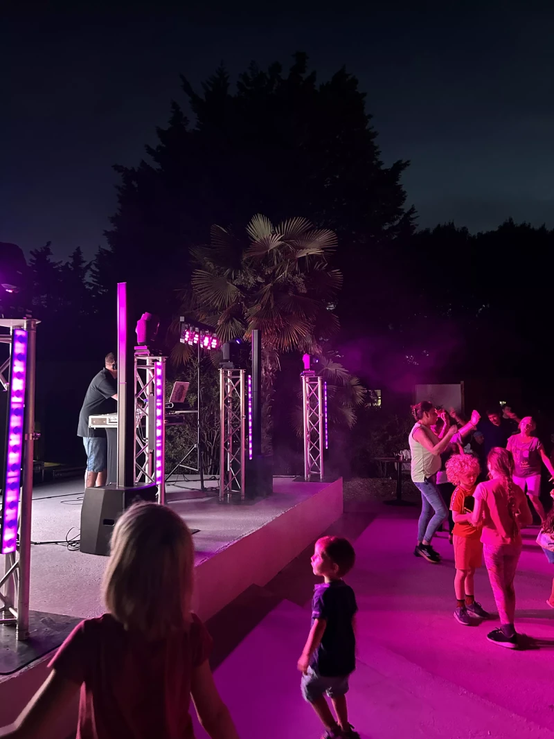 Animation anniversaire &ndash; DJ, blind test & karaok&eacute;